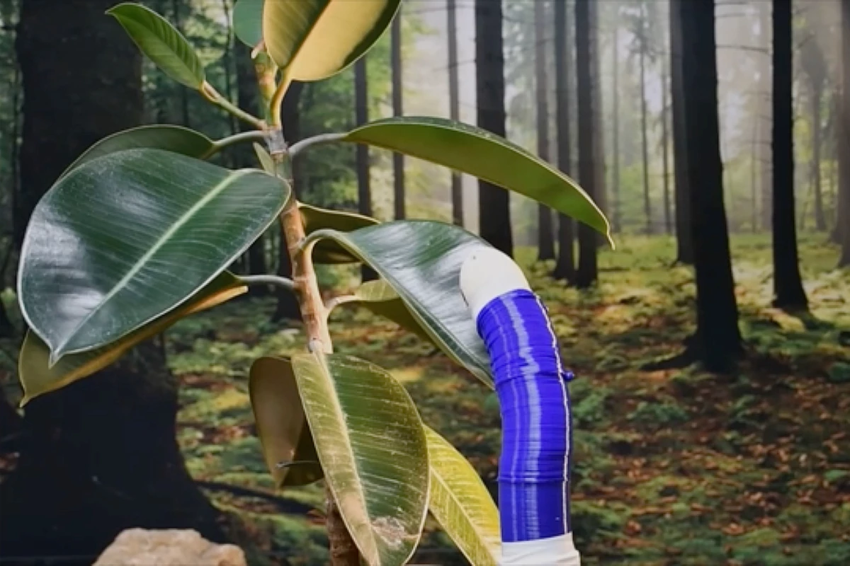FiloBot, 3D-Printed, Plant-Inspired Self-Growing Robot