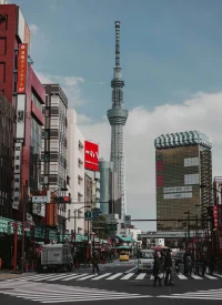 Tokyo City Guide