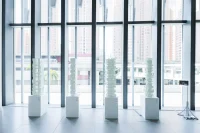 Exporting Aesthetics: AI-Generated Futures of the Greater Bay Area