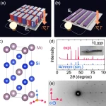 Japan Researchers Develop New Thermoelectric Material for Energy Efficiency