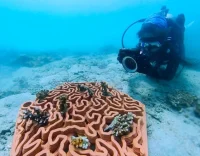 Healing the Planet with Robotics and 3D Printing