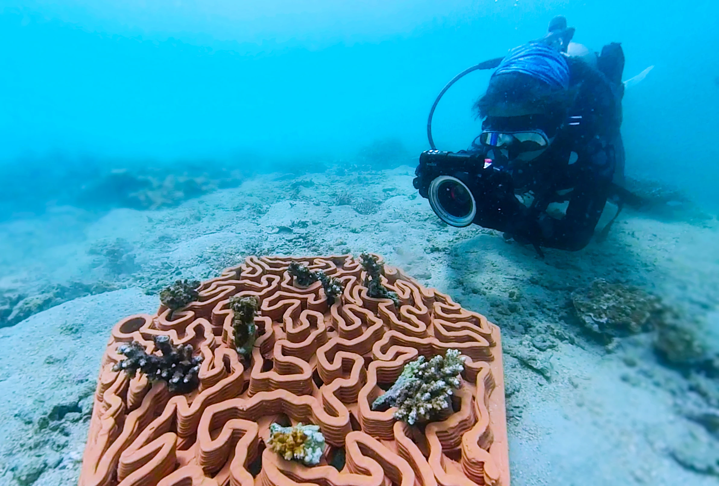 Healing the Planet with Robotics and 3D Printing