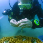 Healing the Planet with Robotics and 3D Printing
