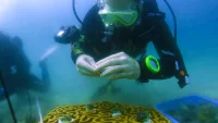 Healing the Planet with Robotics and 3D Printing