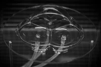 Theodore Spyropoulos’s Architecture of Co-Intelligence