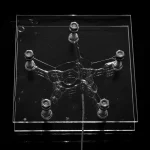 Theodore Spyropoulos’s Architecture of Co-Intelligence