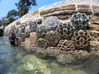 Healing the Planet with Robotics and 3D Printing