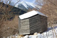 IAAC’s 20 sqm Forestone Cabin Showcases CLT and Digital Fabrication