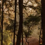 Wallmakers, Kulhad Pavilion