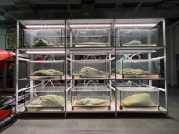 Healing the Planet with Robotics and 3D Printing