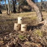 Healing the Planet with Robotics and 3D Printing