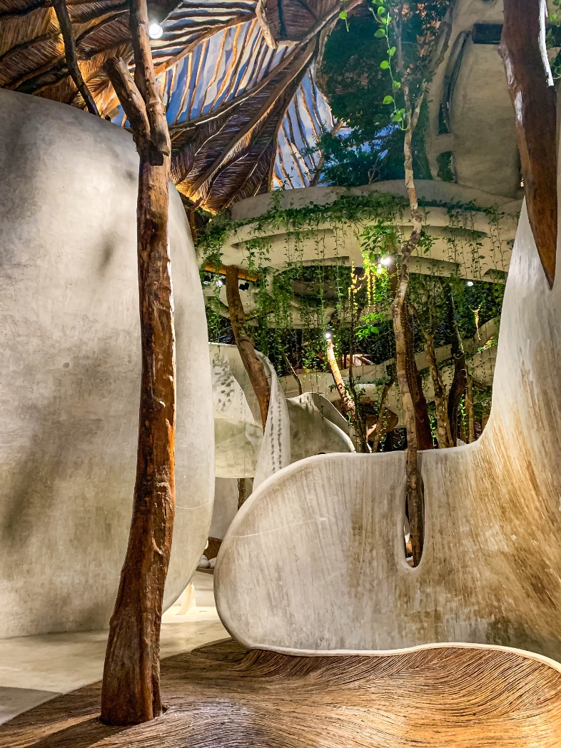 PA Talks with Eduardo Neira: Inside the Organic Architecture of AZULIK