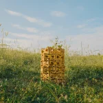 Healing the Planet with Robotics and 3D Printing