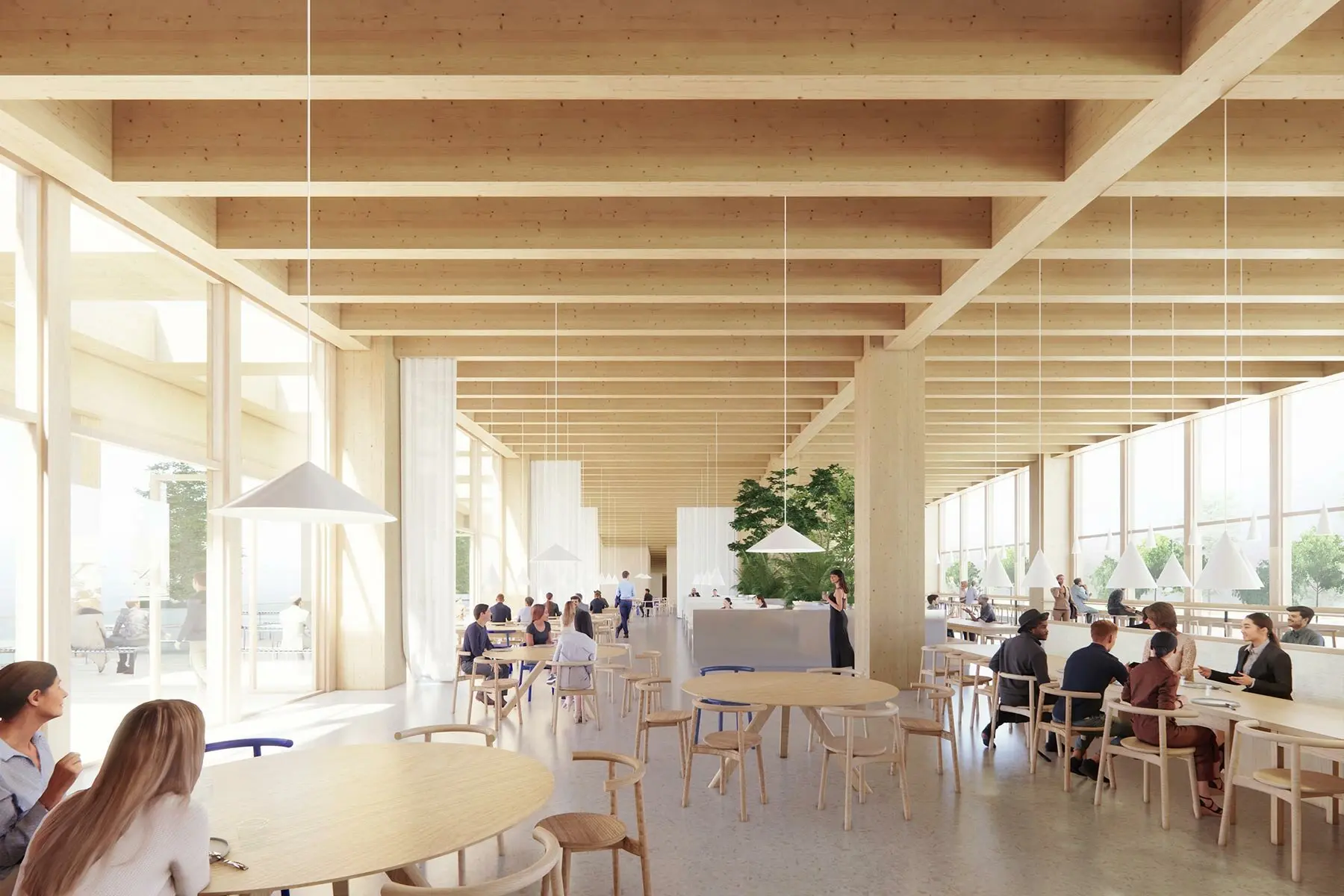 Designing the Future with Wood Architecture