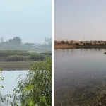 Chenhu Wetland Art Center in Wuhan, Trace Architecture Office (TAO)