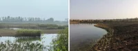 Chenhu Wetland Art Center in Wuhan, Trace Architecture Office (TAO)