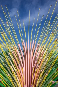 Chorus Ventus by NEON, A Plant-Inspired Installation Blooms at Lauritzen Gardens