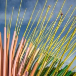 Chorus Ventus by NEON, A Plant-Inspired Installation Blooms at Lauritzen Gardens