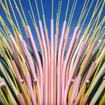Chorus Ventus by NEON, A Plant-Inspired Installation Blooms at Lauritzen Gardens