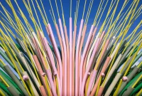 Chorus Ventus by NEON, A Plant-Inspired Installation Blooms at Lauritzen Gardens