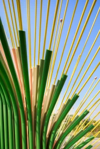 Chorus Ventus by NEON, A Plant-Inspired Installation Blooms at Lauritzen Gardens