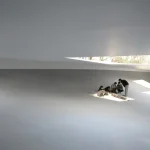 Japanese Architect Junya Ishigami Honored with 2026 Brunner Prize