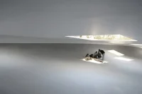 Japanese Architect Junya Ishigami Honored with 2026 Brunner Prize
