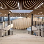 Designing the Future with Wood Architecture
