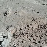 Ohio State Scientists Use Laser 3D Printing to Turn Moon Dust Into Building Material