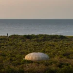 Mushroom Pavilion by OMA at Casa Wabi