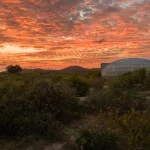 Mushroom Pavilion by OMA at Casa Wabi