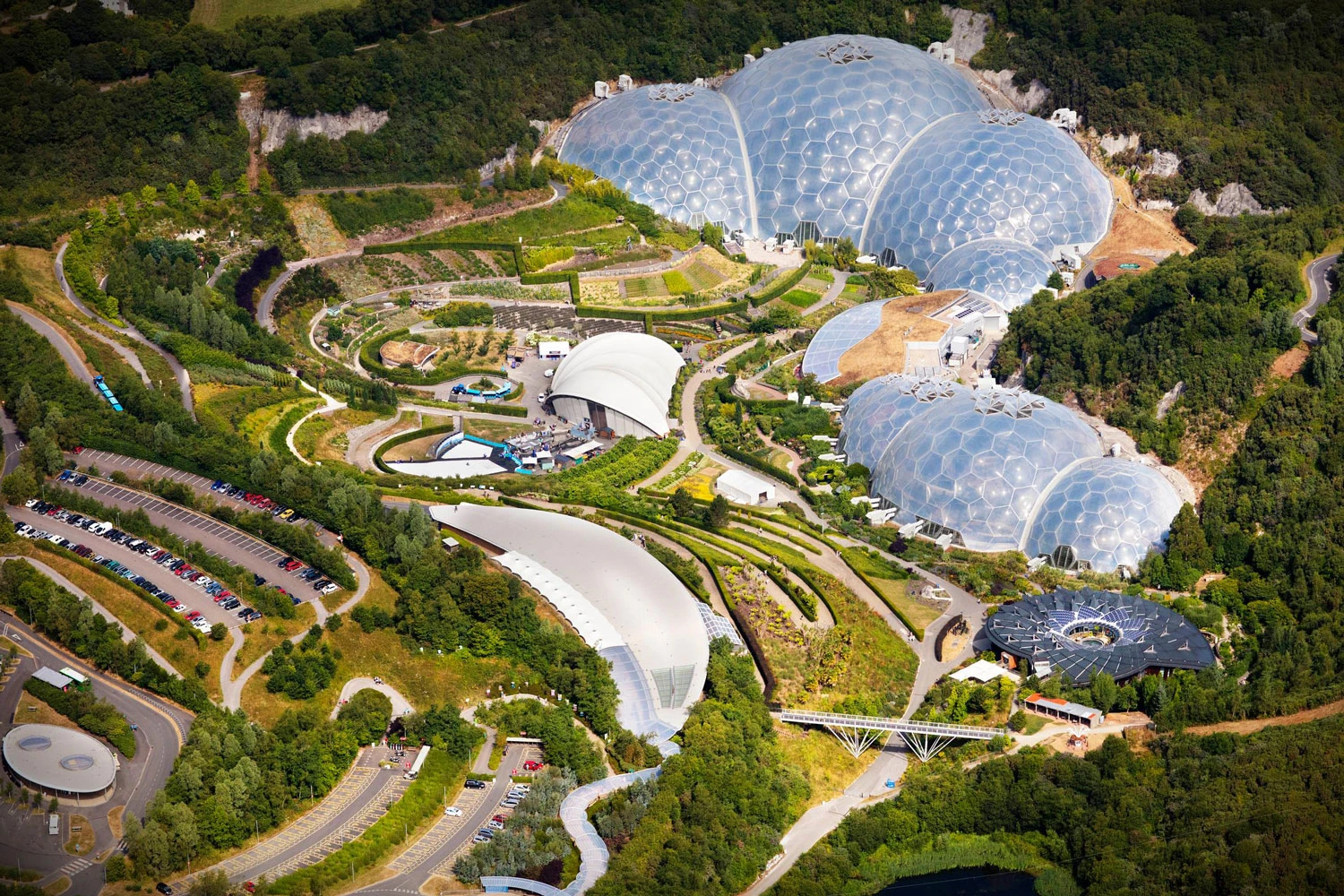 Organic Intelligence: Nature as the First Parametric System 14 Organic Intelligence