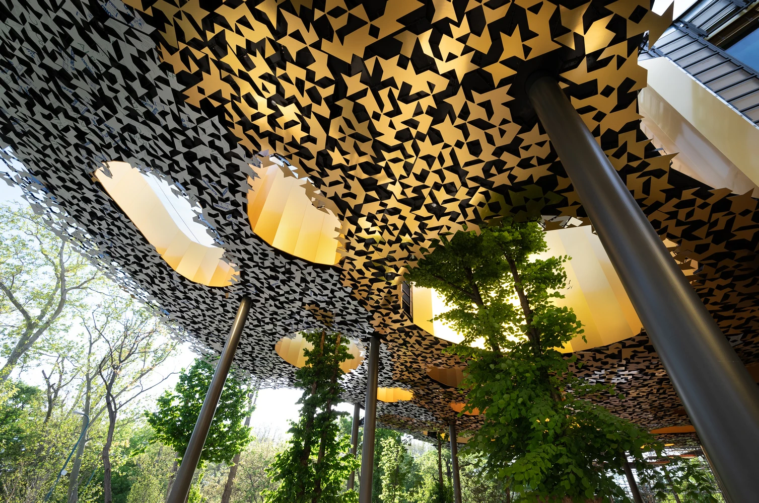 Organic Intelligence: Nature as the First Parametric System 16 Organic Intelligence