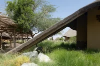 Sharjah Bridi Park by Urko Sánchez