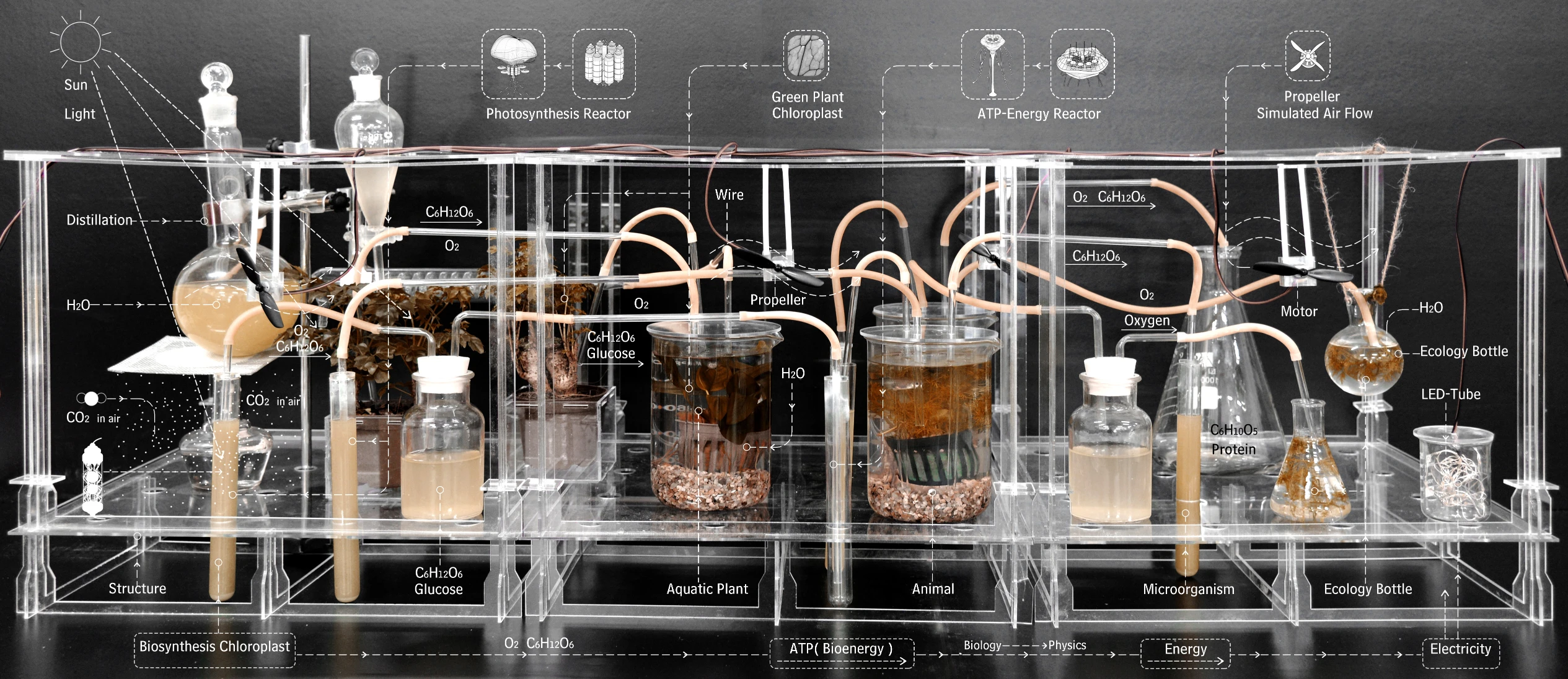 Zehua Zhang’s Work on Data-Driven Sustainability and Adaptive Reuse