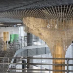 Can We Design Responsive Buildings Through Living Architecture?
