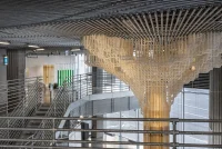Can We Design Responsive Buildings Through Living Architecture?