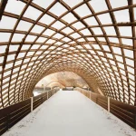 Designing the Future with Wood Architecture