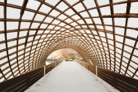 Designing the Future with Wood Architecture