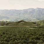 Peter Pichler Architecture Creates Museum Depot