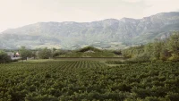 Peter Pichler Architecture Creates Museum Depot