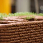 The Future of Biophilic Design Is Already Taking Shape
