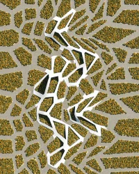 The Architecture of Survival is Designing for an Age of Collapse