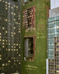 Architectural Photography