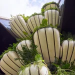 Carbon Smart Design Is the New Currency of Luxury Architecture