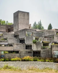 How to Balance Brutalism and Biophilia in Architecture