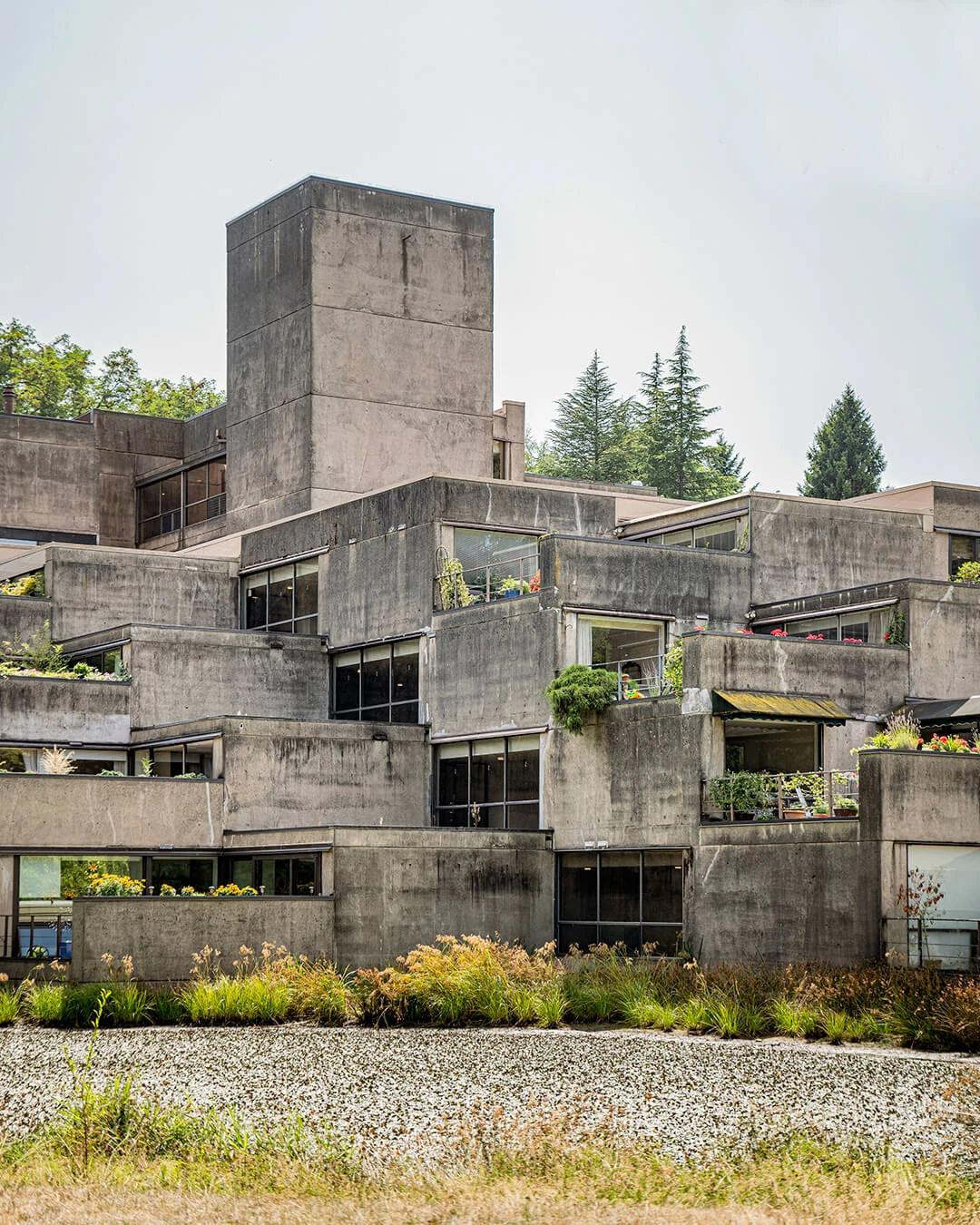 Key Strategies for Balancing Brutalism & Biophilia in Architecture 7 How to Balance Brutalism and Biophilia in Architecture