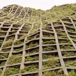 How to Balance Brutalism and Biophilia in Architecture