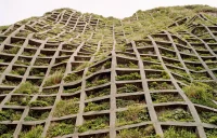 How to Balance Brutalism and Biophilia in Architecture