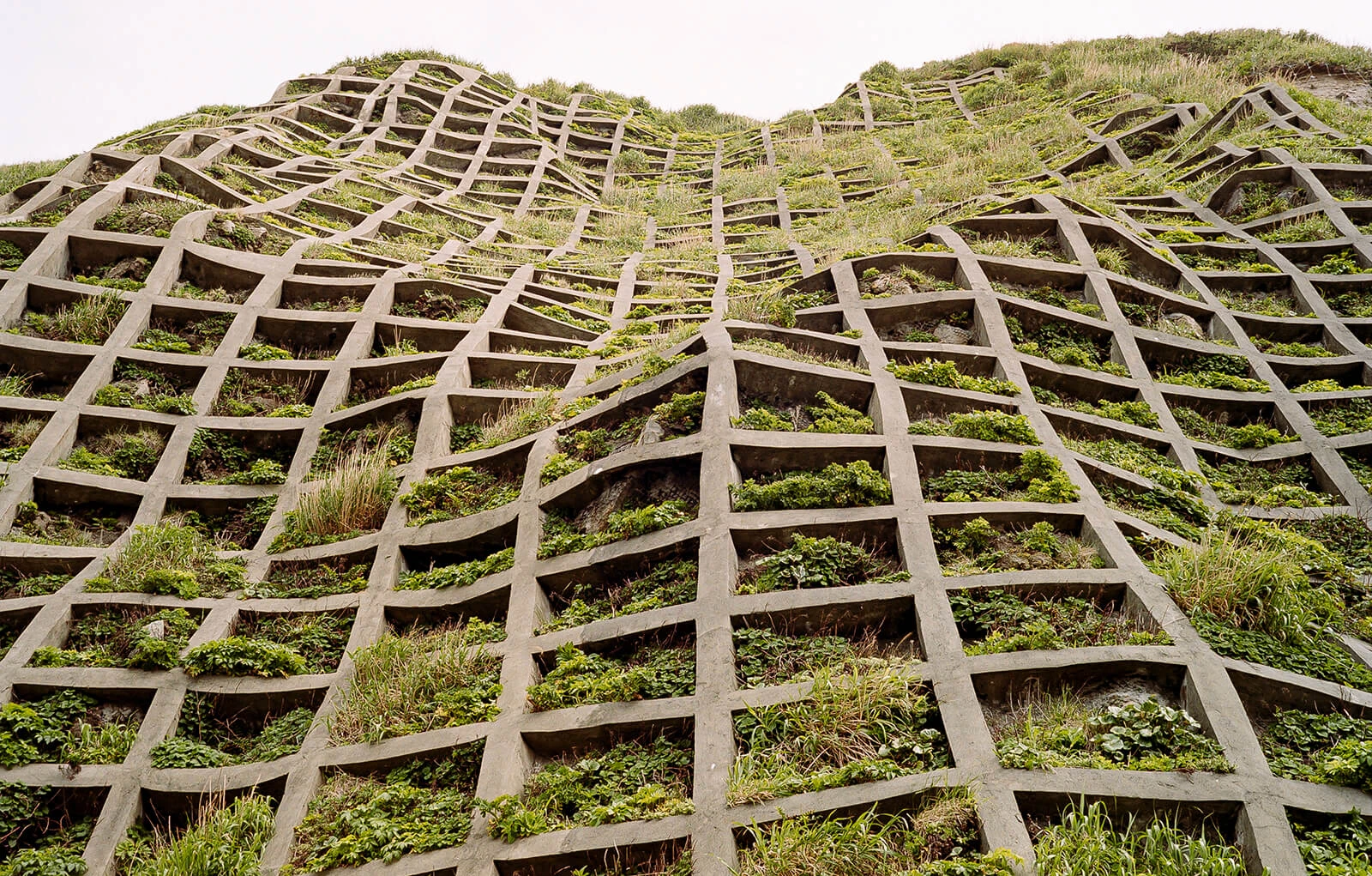 Key Strategies for Balancing Brutalism & Biophilia in Architecture 8 How to Balance Brutalism and Biophilia in Architecture